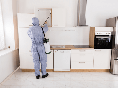 About Tucson Rodent Control - rodent control experts in Tucson